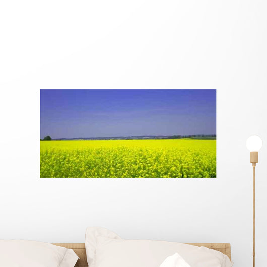 Raps 01 Wall Decal