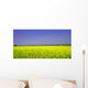 Raps 01 Wall Decal