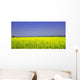 Raps 01 Wall Decal