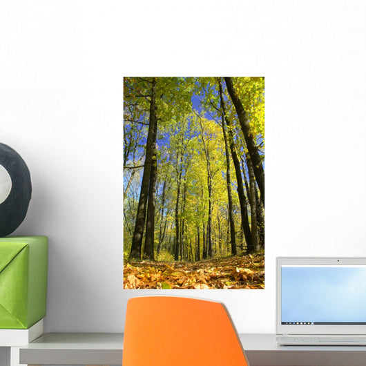 Trees Wall Decal