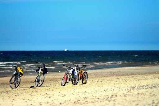 Bicyles on a Beach Wall Decal