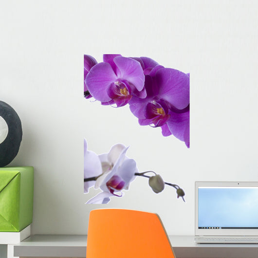 Orchids Wall Decal
