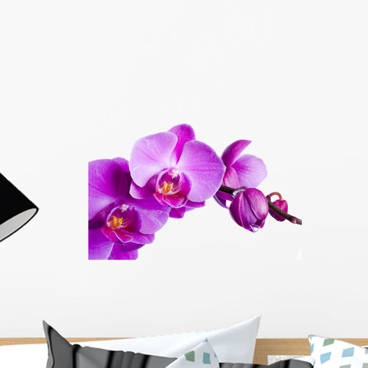 Purple Orchid White Wall Decal