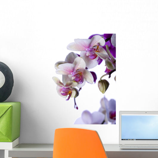 White Orchids Wall Decal