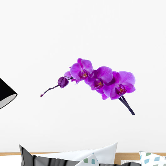 Purple Orchid Wall Decal