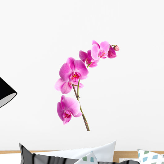 Pink Flowers Orchid White Wall Decal