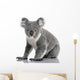 Young Koala Phascolarctos Cinereus Wall Decal