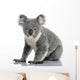 Young Koala Phascolarctos Cinereus Wall Decal