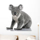 Young Koala Phascolarctos Cinereus Wall Decal
