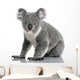 Young Koala Phascolarctos Cinereus Wall Decal