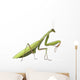 European Praying Mantis Wall Decal
