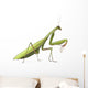 European Praying Mantis Wall Decal