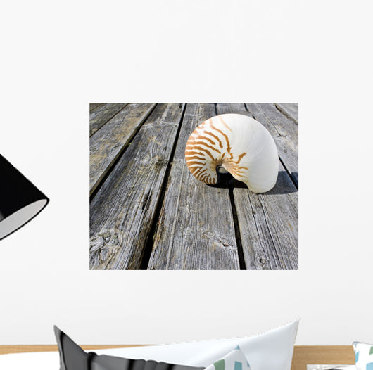 Nautilus Wall Decal