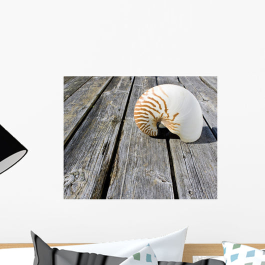 Nautilus Wall Decal