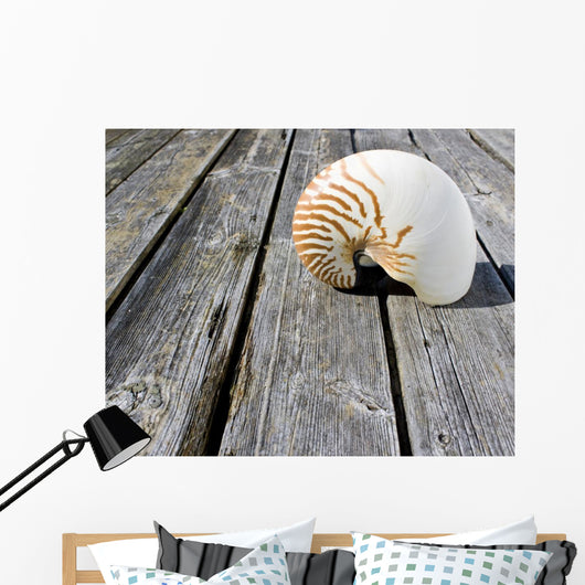 Nautilus Wall Decal
