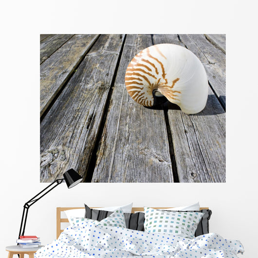 Nautilus Wall Decal