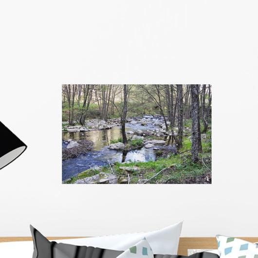 Rio Ramacastaa As Wall Decal