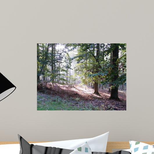 Autumn Light Wall Decal