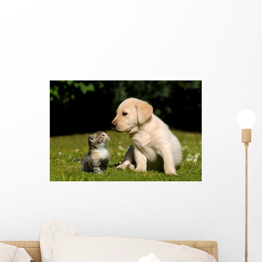 Yellow Lab Puppy And Kitten Wall Decal