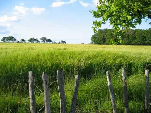 Paysage Morvandiau Wall Decal