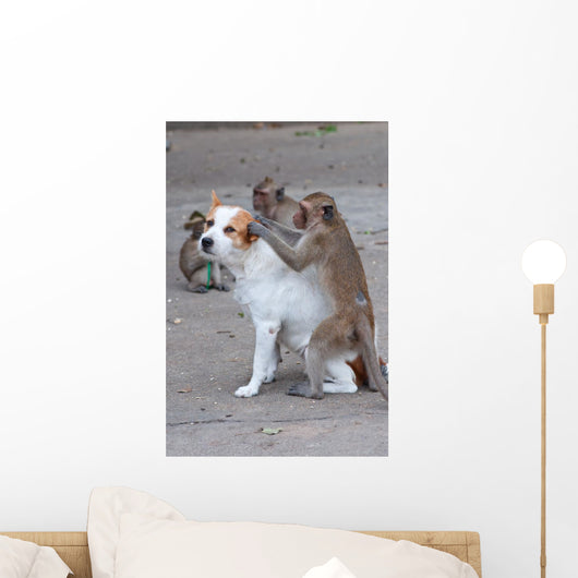 Monkeys Checking For Fleas Wall Decal