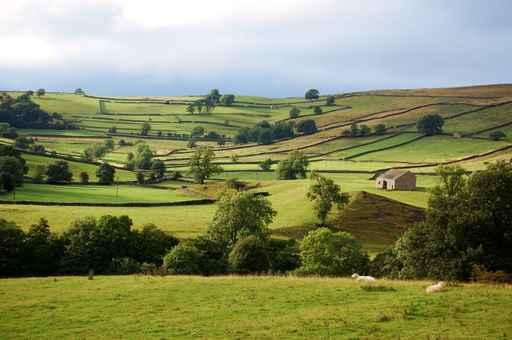 Wharfedale Yorkshire Dales Wall Decal