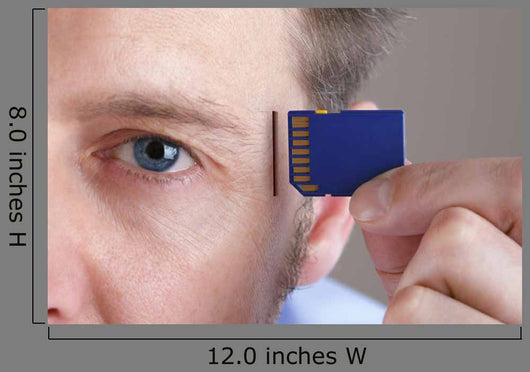 Memory And Brain Upgrade Wall Decal