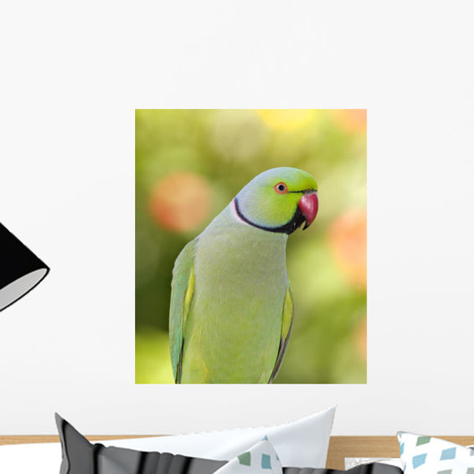 Ring Necked Parakeet Wall Decal