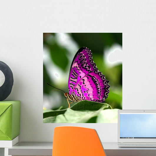 Pink Butterfly Leaf Wall Decal