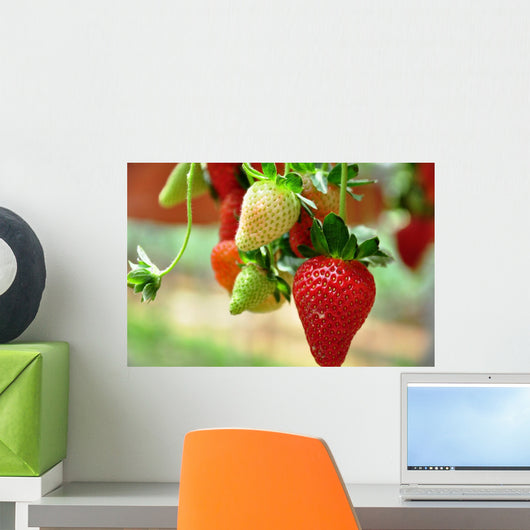 Strawberry Wall Decal