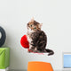 Cute Kitten Wall Decal