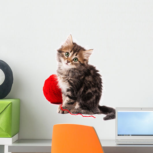 Cute Kitten Wall Decal