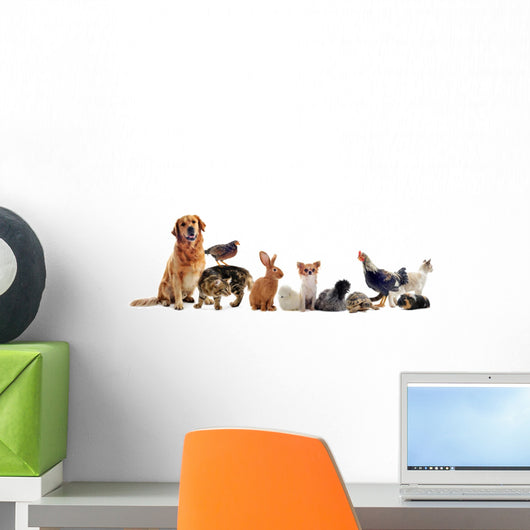 Pets Wall Decal