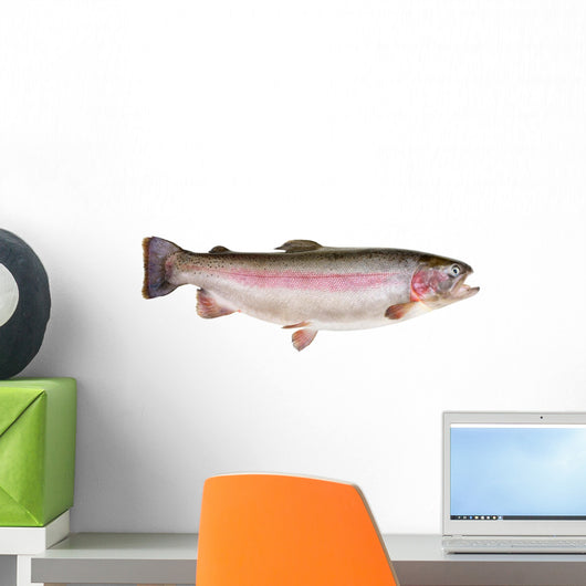 Rainbow Trout Oncorhynchus Mykiss Wall Decal
