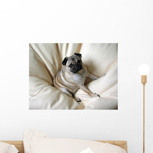 Pug Wall Decal