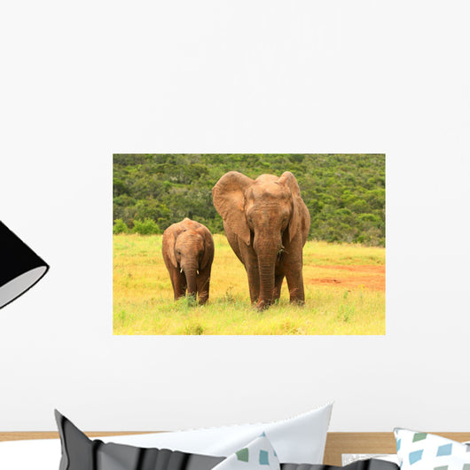 Mother And Baby African Wall Decal