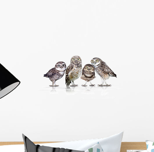 Guckst Du Wall Decal