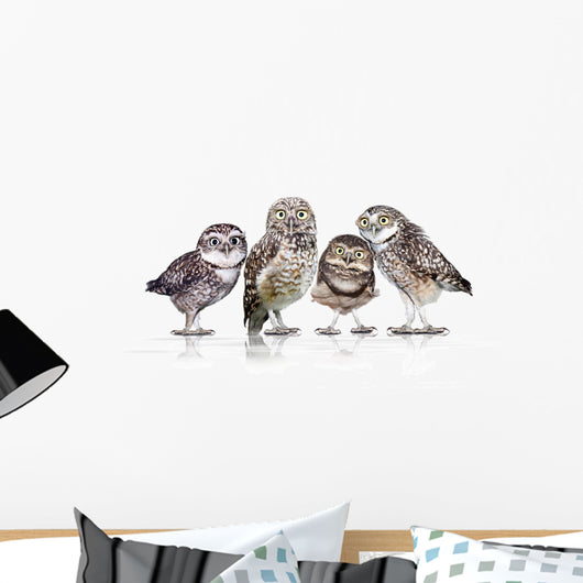 Guckst Du Wall Decal