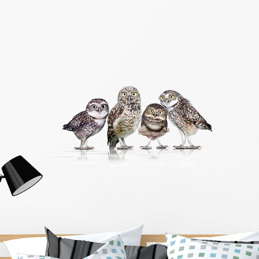 Guckst Du Wall Decal