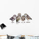 Guckst Du Wall Decal