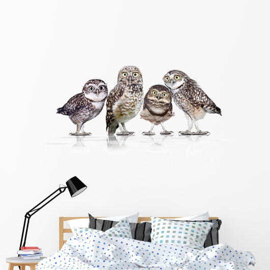 Guckst Du Wall Decal