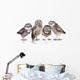 Guckst Du Wall Decal