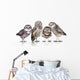 Guckst Du Wall Decal