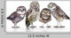 Guckst Du Wall Decal