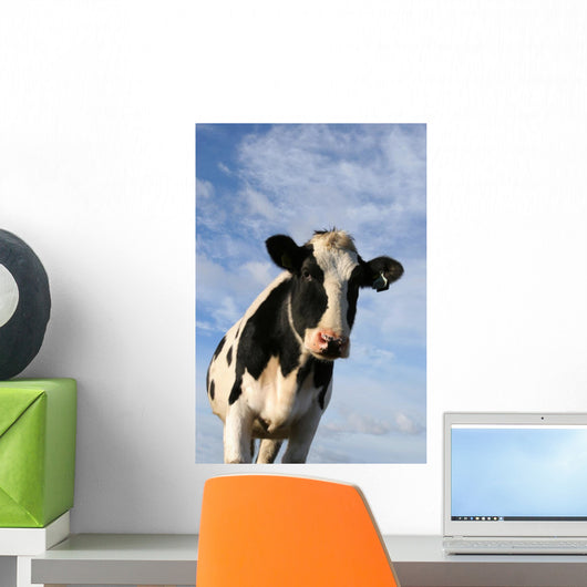 Curious Cow Wall Decal