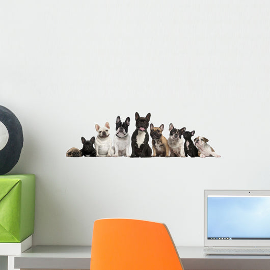 Group of Nine French Bulldogs Wall Decal