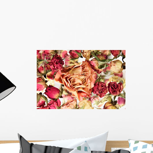 Big Dry Orange Rose Wall Decal
