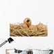 Heart Egg Front Wall Decal