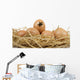 Heart Egg Front Wall Decal