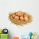 Star Egg Wall Decal